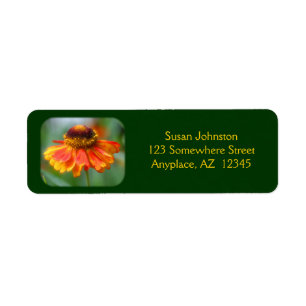Etiqueta de endereço sonhadora da flor do Zinnia