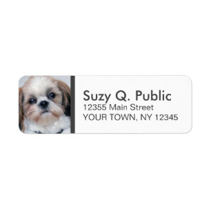 Etiqueta De Endereço Spaniel Shih Tzu