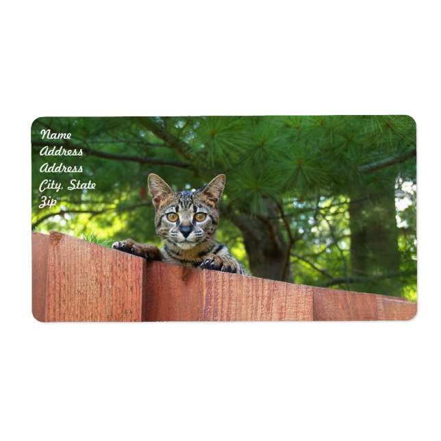 Etiqueta de Entrega de Cat Savannah (Frente)