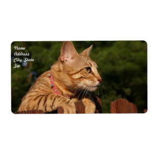 Etiqueta de Entrega de Gato Savannah