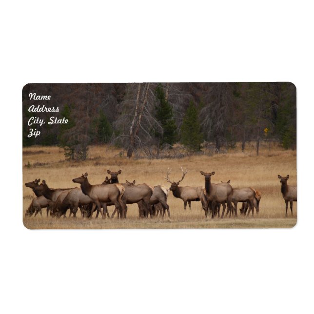 Etiqueta de Entrega do Elk Herd (Frente)