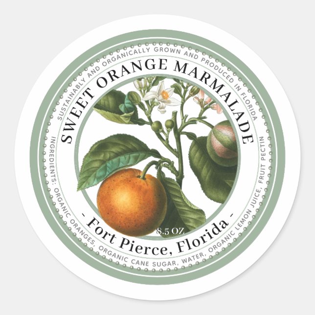 Etiqueta de gelatina com a ilustração laranja da v (Frente)