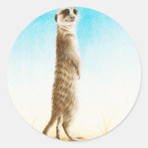 Etiqueta de Meerkat