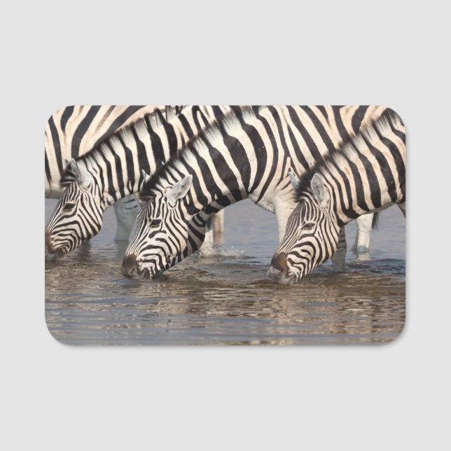 Etiqueta De Nome Bebendo Zebras (Frente)