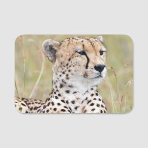 Etiqueta De Nome Cheetah