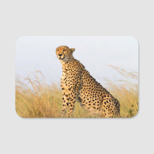 Etiqueta De Nome Cheetah Portrait