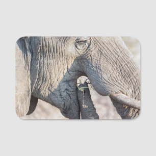 Etiqueta De Nome Elephant feeding