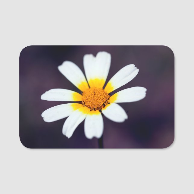 Etiqueta De Nome Flor (Frente)