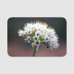 Etiqueta De Nome Flor selvagem