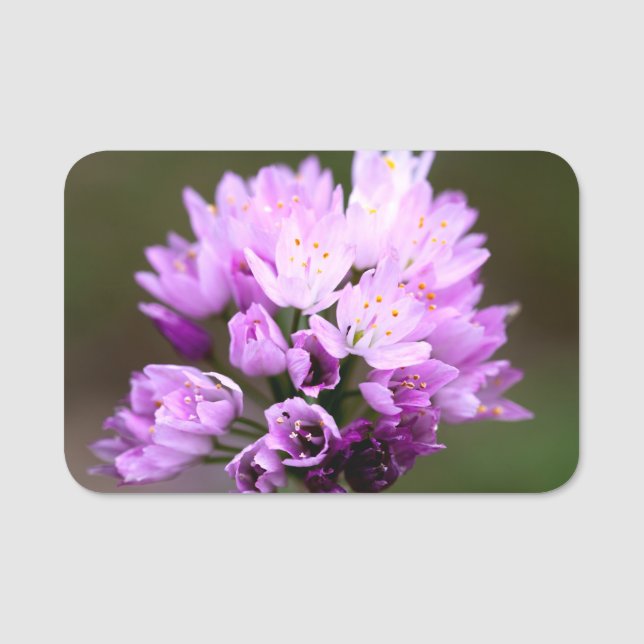 Etiqueta De Nome Flor selvagem (Frente)