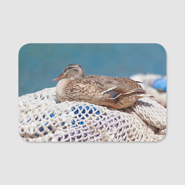 Etiqueta De Nome Pato Descansado (Frente)