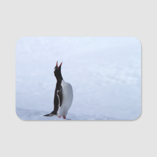 Etiqueta De Nome Pinguim gentoo