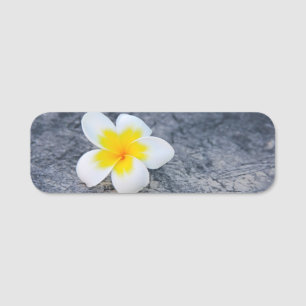 Etiqueta De Nome Plumeria Lumbar Travesseiro