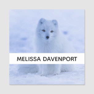 Etiqueta De Nome Raposa Árctica Cuta no Fundo de Inverno de Neve