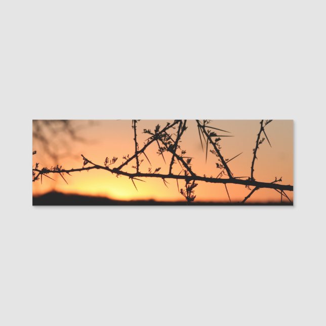 Etiqueta De Nome Sol africano com silhueta espinhal de acácia (Frente)