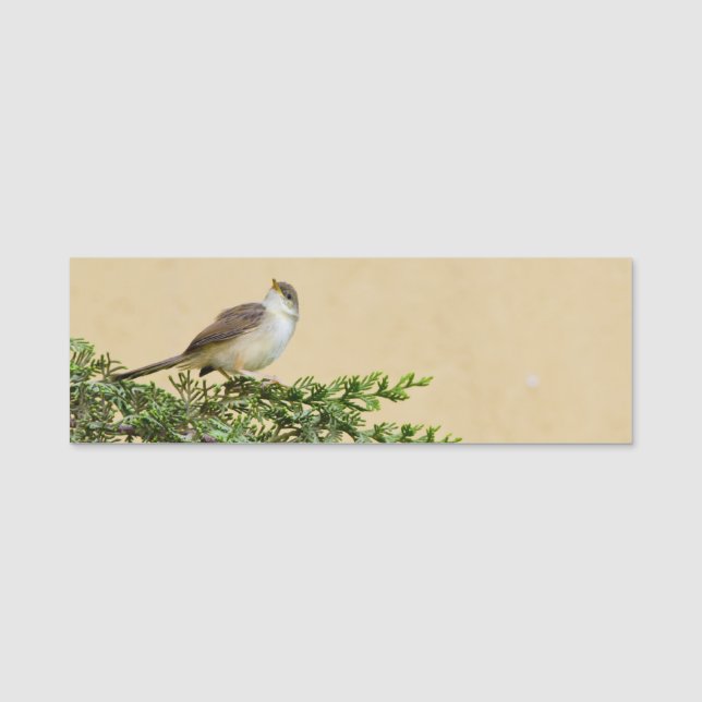 Etiqueta De Nome Sparrow (Frente)
