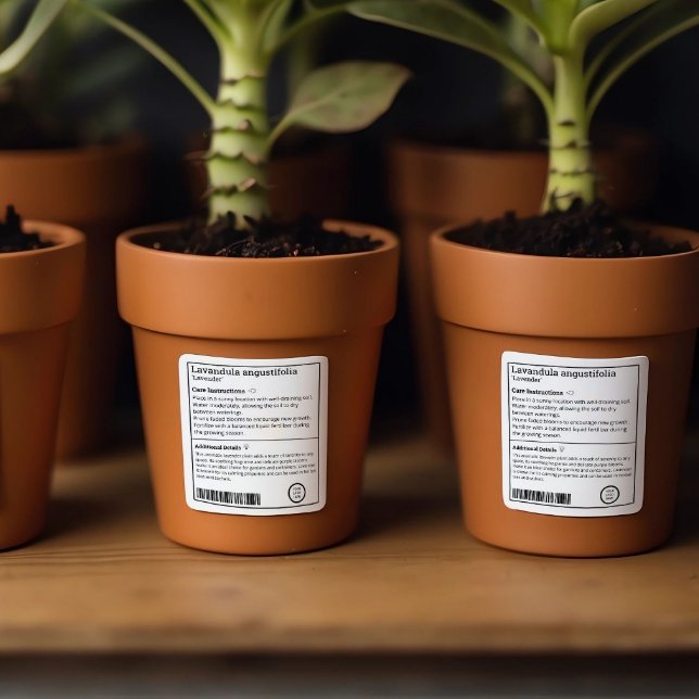 Etiqueta de Planta Personalizável de Fitossanidade (Nursery Labels)