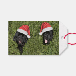 Etiqueta de presente de Natal de Notta Bear Hairy