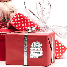 Etiqueta De Presente Do Papai noel Express Deliver