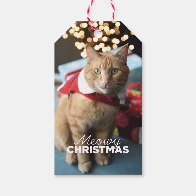 Etiqueta de presente para gatos de Natal (Frente)