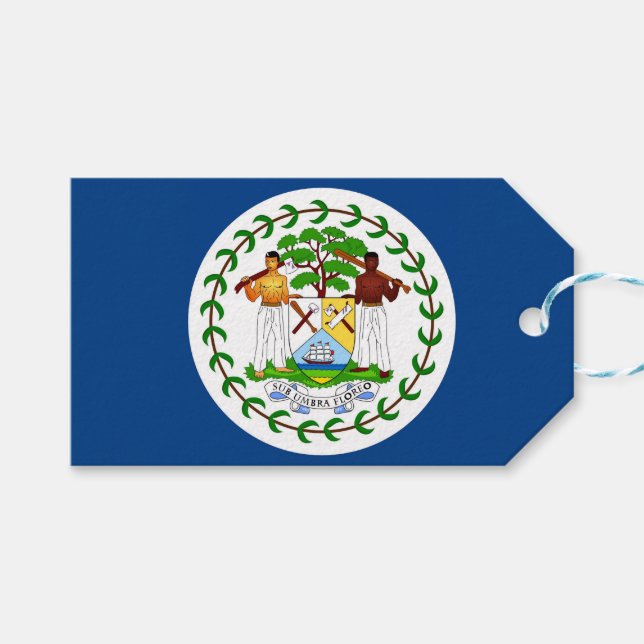 Etiqueta de presentes com sinalizador de Belize (Frente (horizontal))