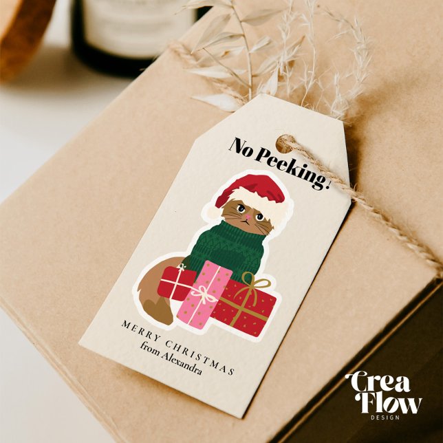 Etiqueta de presentes personalizada para gatos de  (Adorable Personalized Holiday Gift Tags featuring a Grumpy Cat in a Green Christmas Sweater )