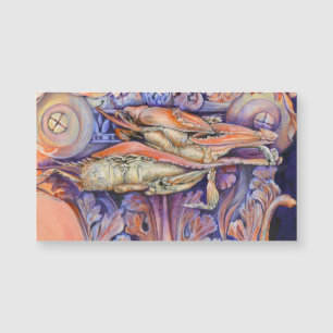 Etiqueta de Reprodução de Spike e Curly