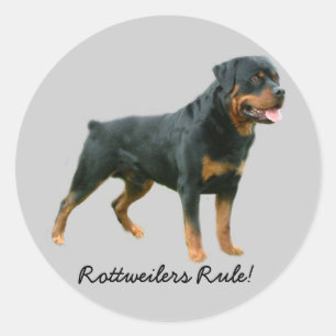 Etiqueta de Rottweiler