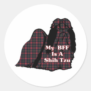 Etiqueta de Shih Tzu BFF