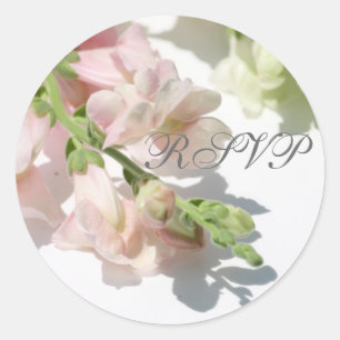 Etiqueta de Snapdragon RSVP