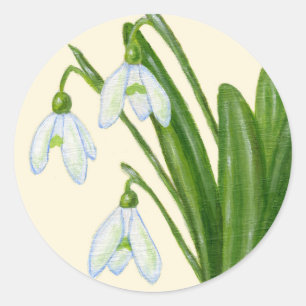 Etiqueta de Snowdrops