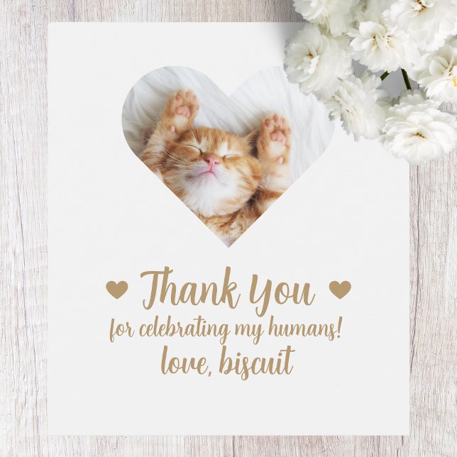 Etiqueta de Vinho de Foto Personalizada Cat I Do T (Criador carregado)