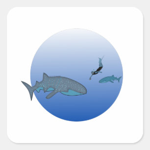 Etiqueta de Whaleshark