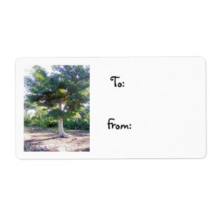 Etiqueta de Wisdom-Natal