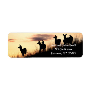 Etiqueta Deer on Hillside no Sunset Return Address Label