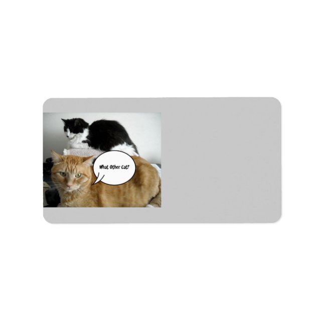 Etiqueta Desculpe (Frente)