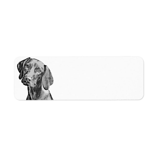 Etiqueta Desenho de Vizsla (Frente)