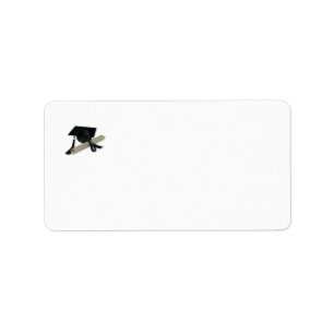 Etiqueta Diploma e boné de formatura (o conselho do