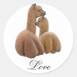Etiqueta do amor da alpaca