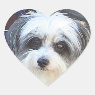 Etiqueta do amor de filhote de cachorro