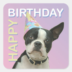Etiqueta do aniversário de Boston Terrier