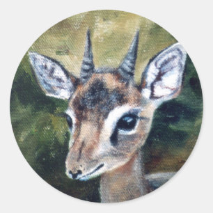 Etiqueta do antílope do anão de Dikdik