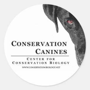 Etiqueta do canino da conservação