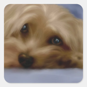 Etiqueta do cão de Yorkie