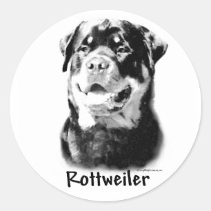 Etiqueta do carvão vegetal de Rottweiler