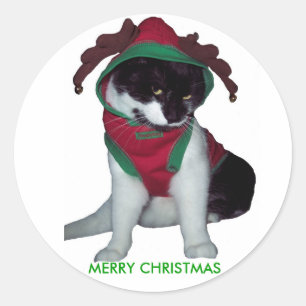 ETIQUETA DO CAT DO FELIZ NATAL