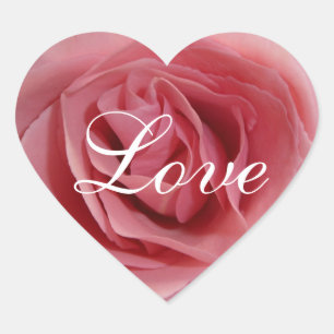 Etiqueta do coração do rosa do rosa