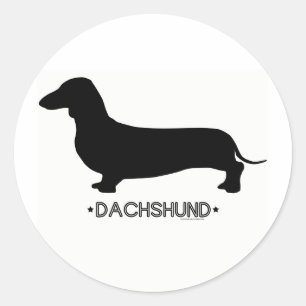Etiqueta do Dachshund