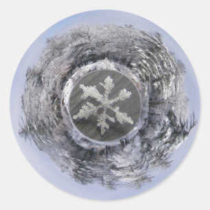 Etiqueta do ~ de Planetoid do floco da neve