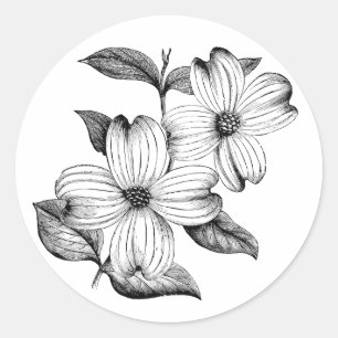 Etiqueta do Dogwood